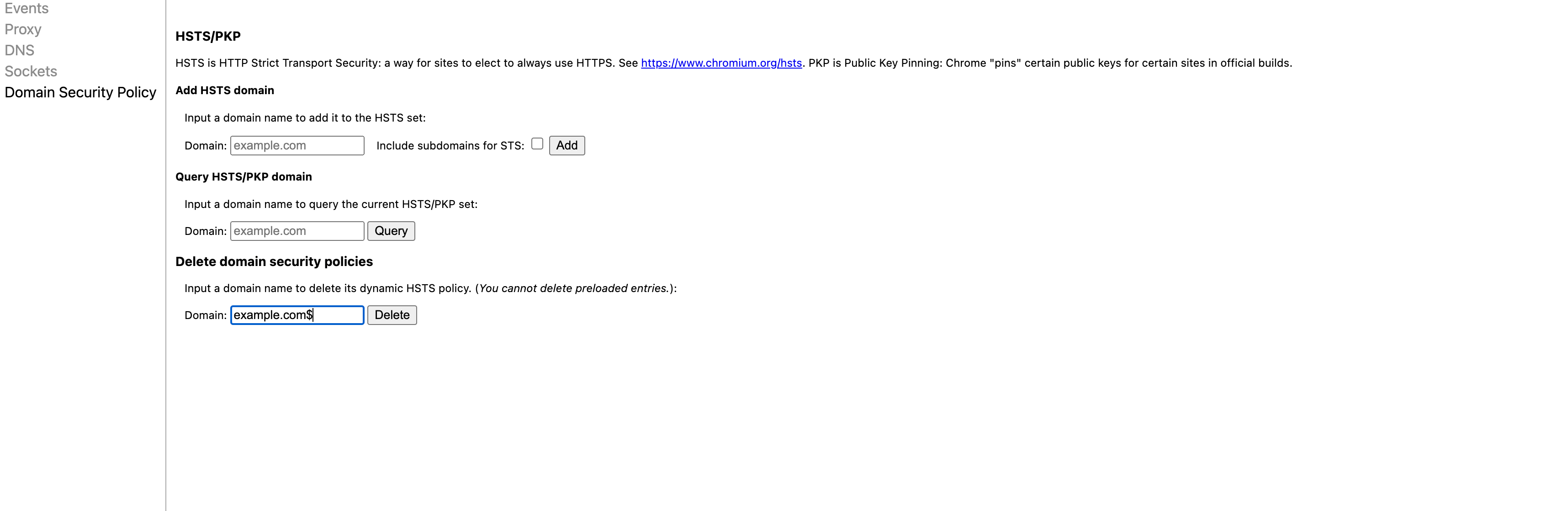 Google chrome net internals page